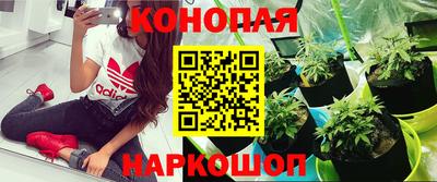 кристаллы Лесосибирск