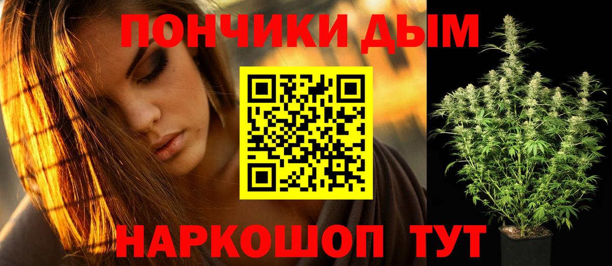 Канабис конопля Кольчугино